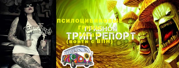 прущий лед Надым