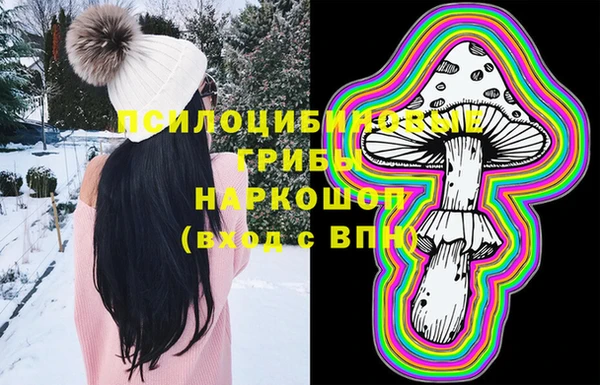 прущий лед Надым