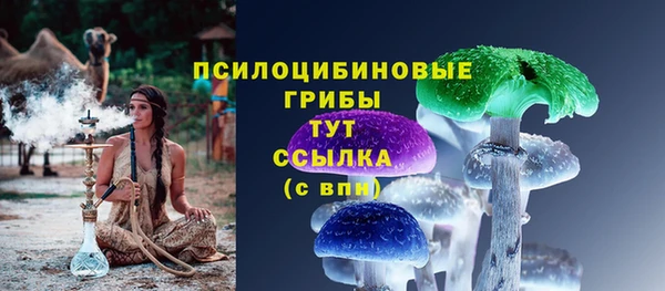 PSILOCYBIN Инта