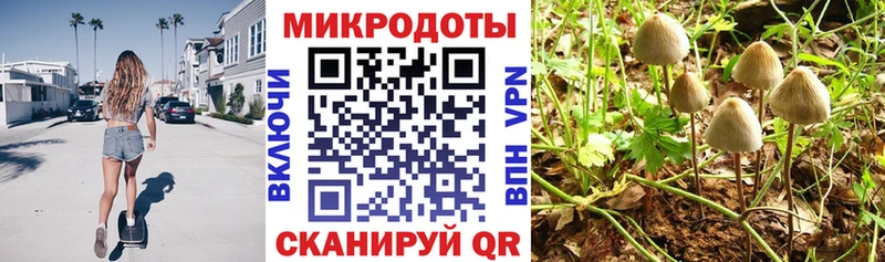 Псилоцибиновые грибы Psilocybe Кулебаки