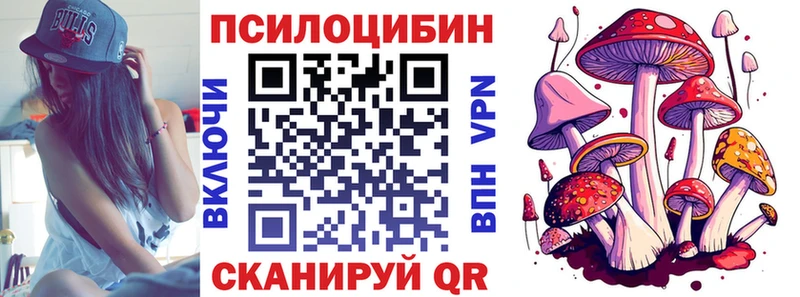 дарнет шоп  Кулебаки  Галлюциногенные грибы мицелий 