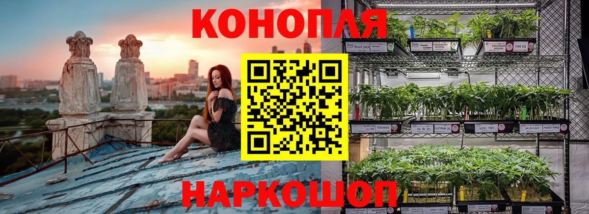Конопля планчик  Марихуана Ganja  МАРИХУАНА SATIVA & INDICA  Бошки марихуана сатива  Кулебаки  Вход с VPN 